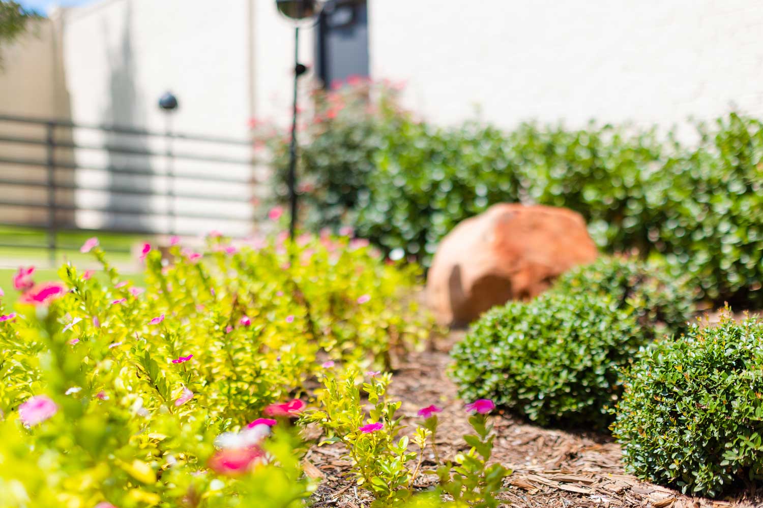 Maintained flowerbed with shrubs and seasonal flowers